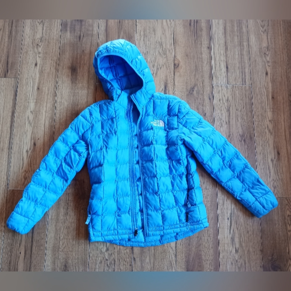 Vibrant Blue North Face Jacket